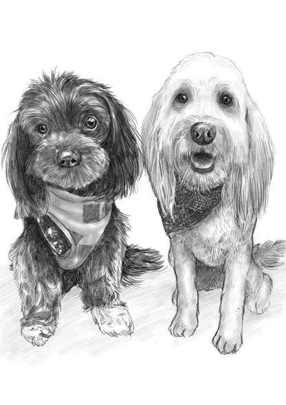 Black & White Portrait Detailed 🇺🇸 USA DELIVERY